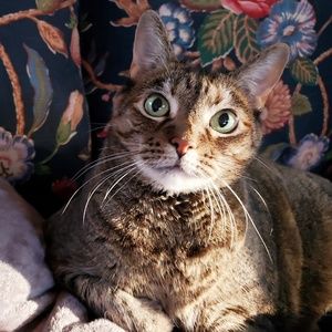 Meet your Posher, Aleeze